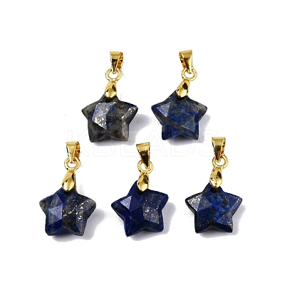 Natural Lapis Lazuli Charms G-N326-142-02-1