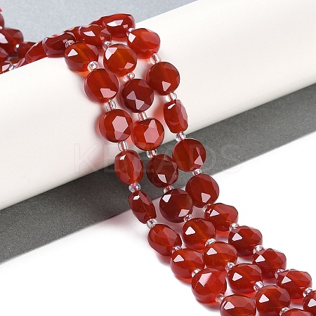 Natural Carnelian(Dyed & Heated) Beads Strands G-N342-19-1