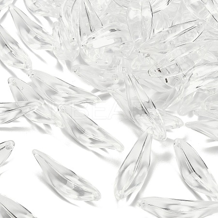 Transparent Acrylic Pendants MACR-K359-30-1