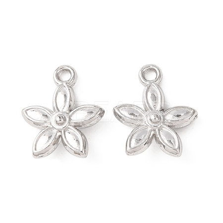 304 Stainless Steel Charms STAS-K303-08A-P-1