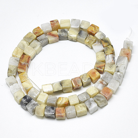 Natural Crazy Agate Beads Strands X-G-S357-G27-1