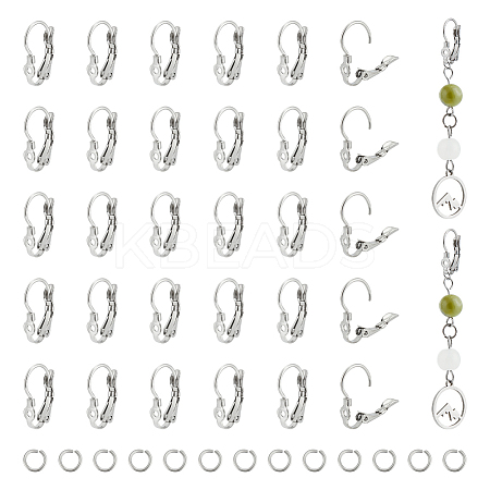 40Pcs 304 Stainless Steel Leverback Earring Findings STAS-UN0052-48-1