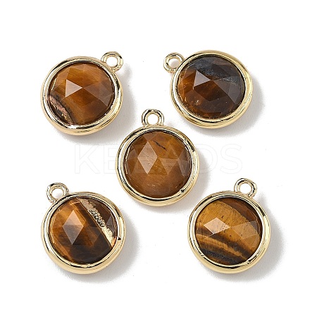 Natural Tiger Eye Faceted Flat Round Charms G-U028-03G-02-1