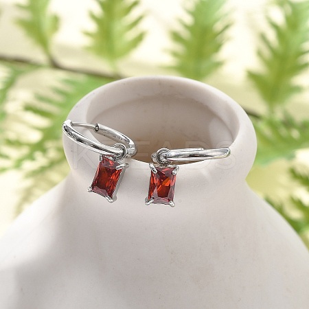 304 Stainless Steel Micro Pave Cubic Zirconia Hoop Earrings STAS-R004-06P-01-1
