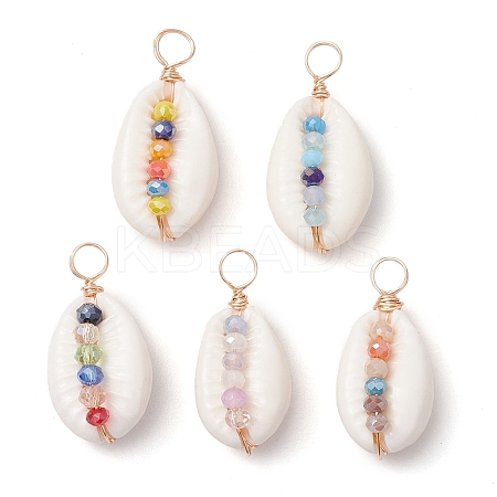 Natural Cowrie Shell Pendants PALLOY-JF02662-03-1