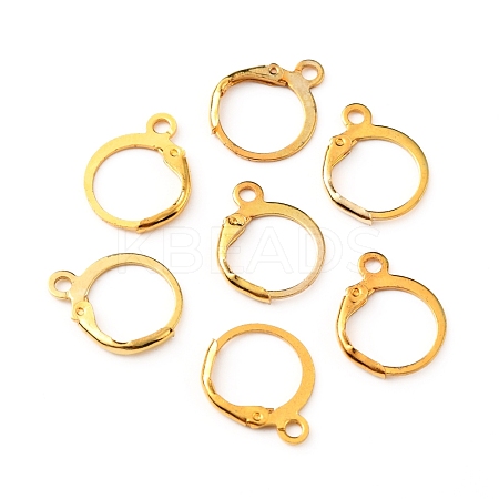 Brass Leverback Earring Findings FIND-WH0125-13G-1