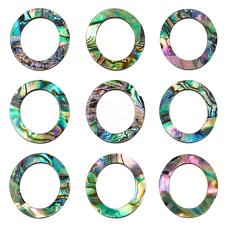 25Pcs Natural Abalone Shell/Paua Shell Cabochons SHEL-WR0001-01-1