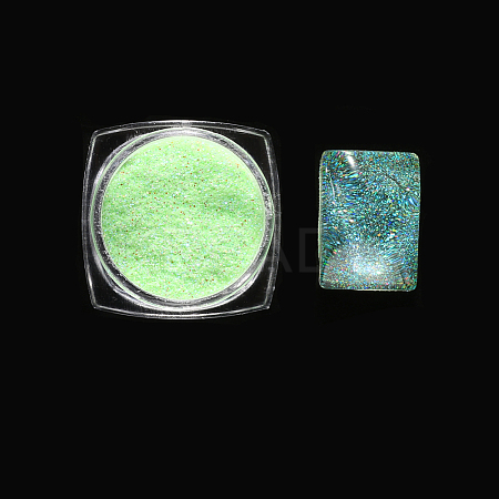 Nail Art Luminous Powder MRMJ-R090-29-03-1